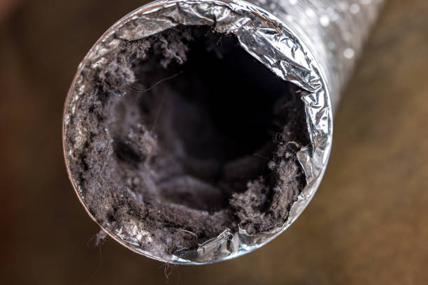 Best Air Duct Sanitizing Services  in Flagtown, NJ