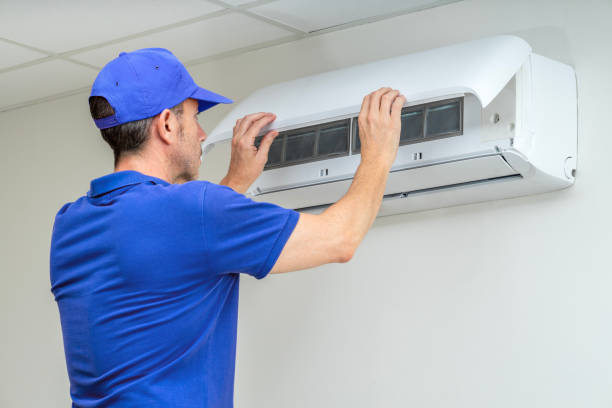 Best Air Duct Mold Removal  in Flagtown, NJ